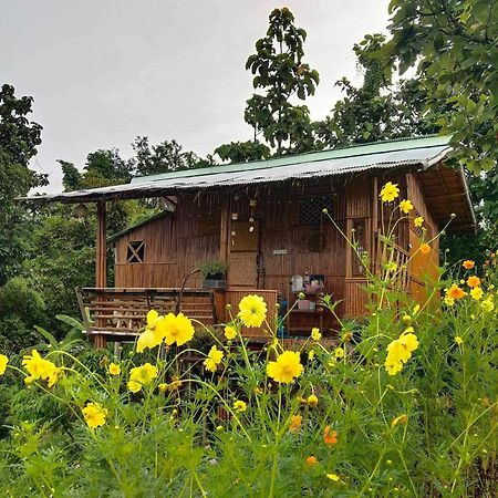 Baan 2 Dao Farmstay Чіанґдау Екстер'єр фото
